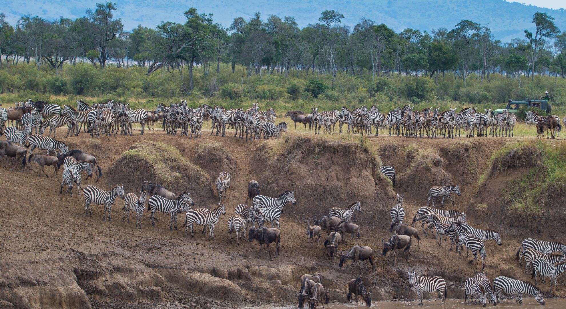 Why Maasai Mara Should Be on Your Bucket List