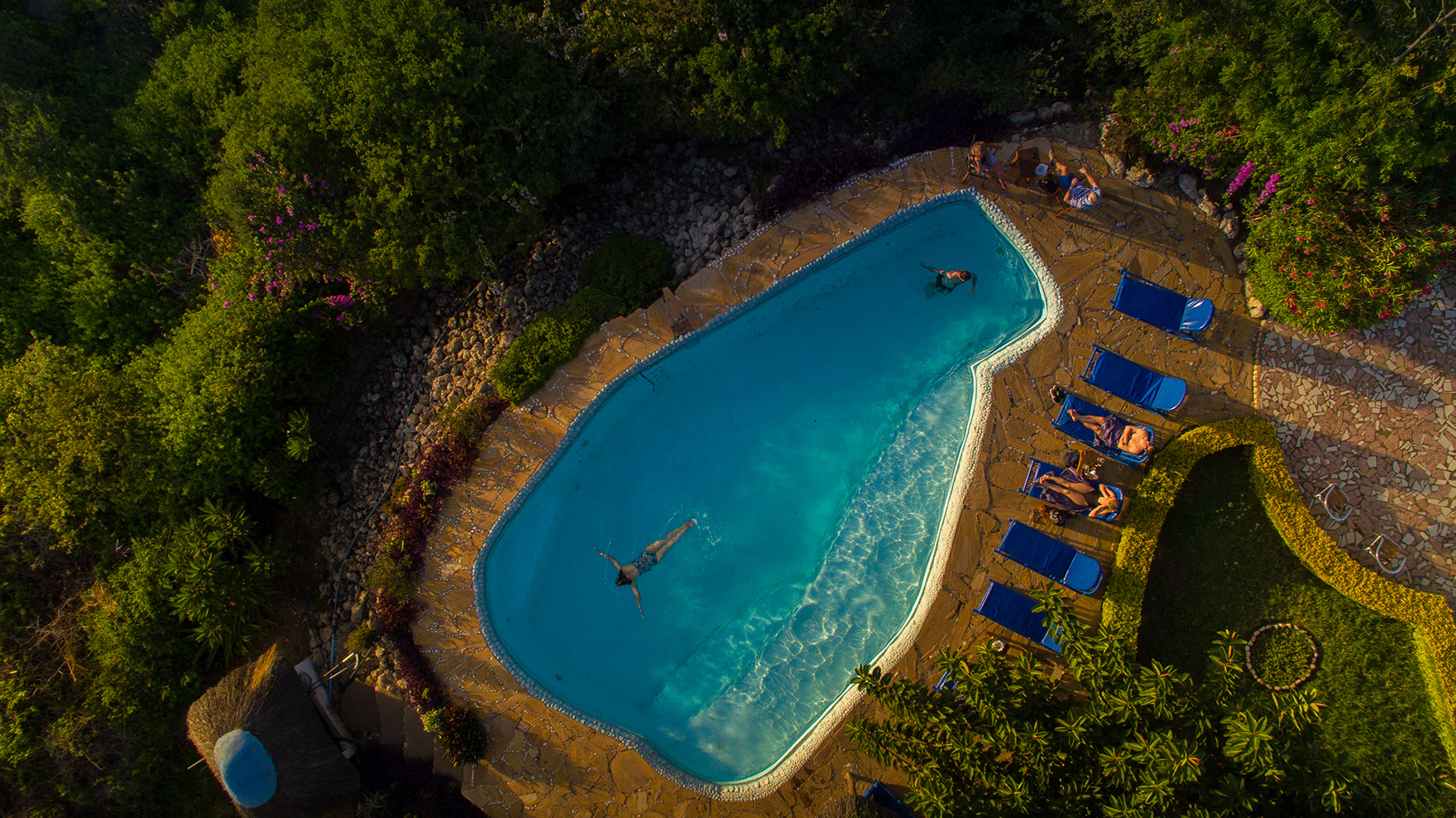 7 Days Best of Tanzania Budget Safari