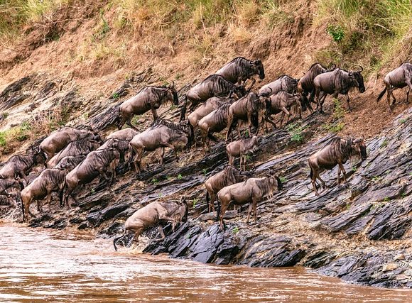 Maasai Mara 2024 Deals