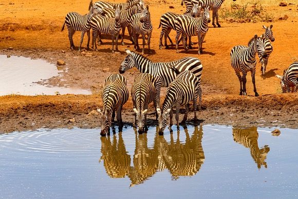 3 Days Amboseli Packages