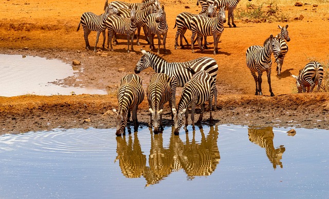 3 Days Amboseli Packages
