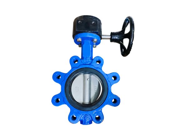 Lug butterfly valve