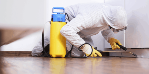 post-pandemic-pest-management-pest-control-feb-e-1080x720